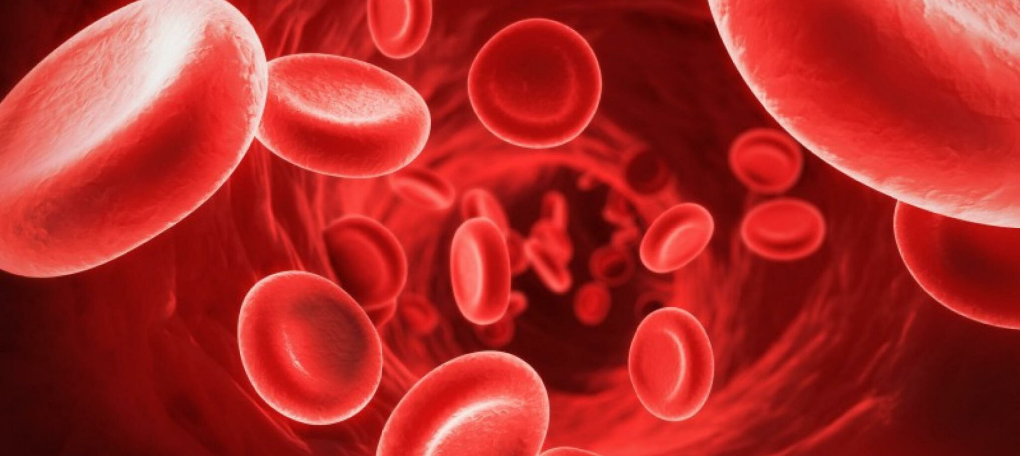 Featured image for “Il sangue costituisce il 6% del peso corporeo”